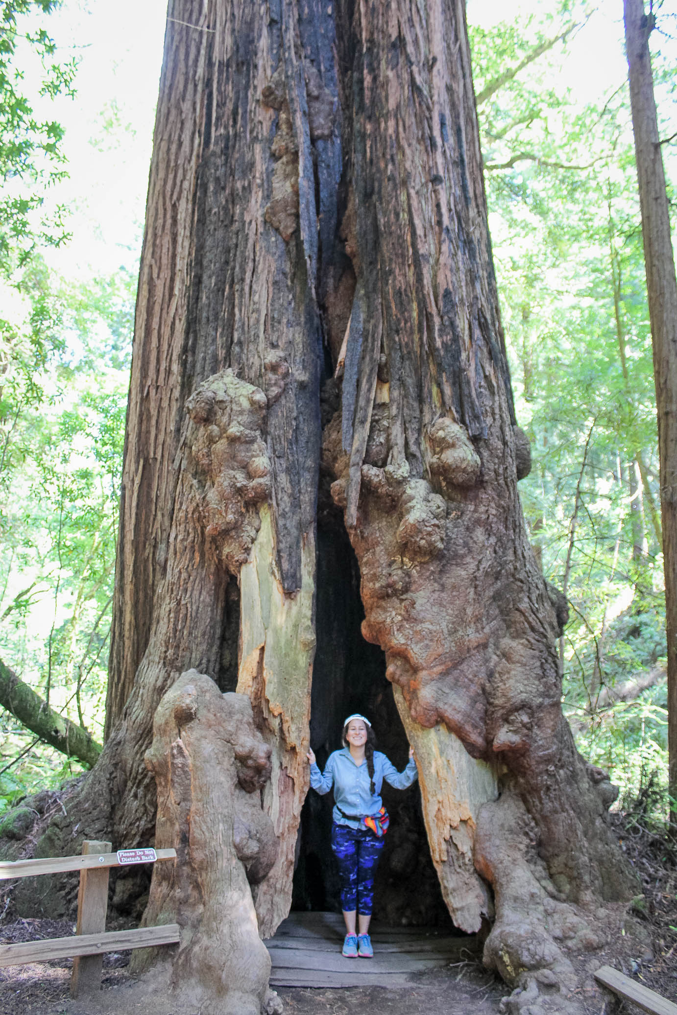 MuirWoods-39.jpg