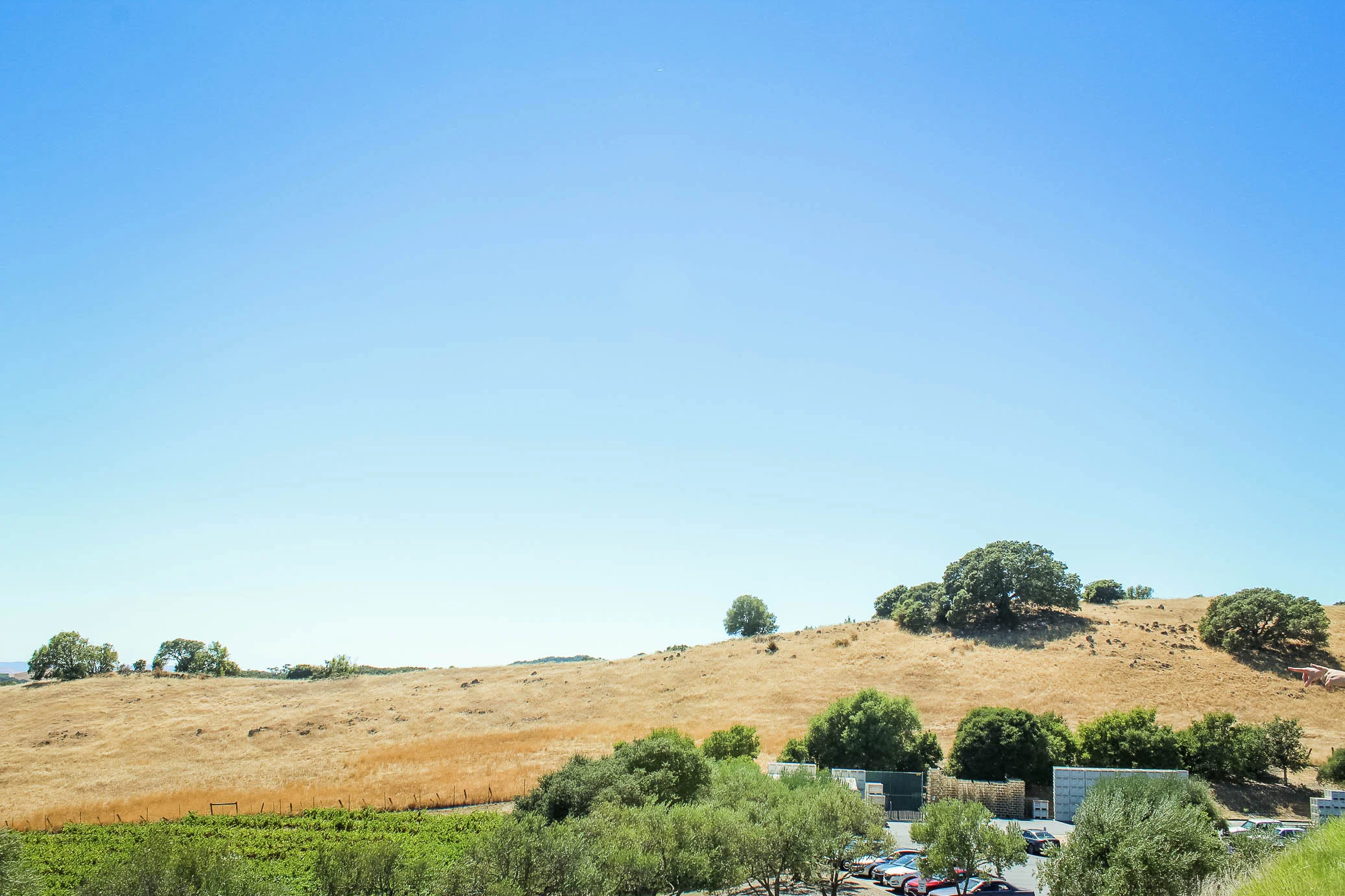 View from Artesa Winery in Napa, CA