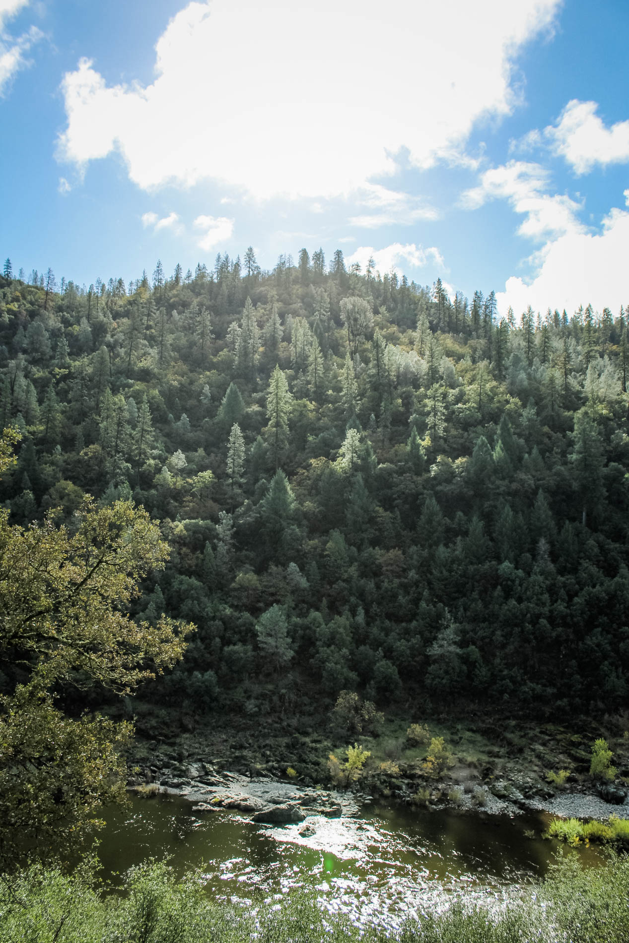 green resolution #2: hike once a month | tintedgreenblog.com