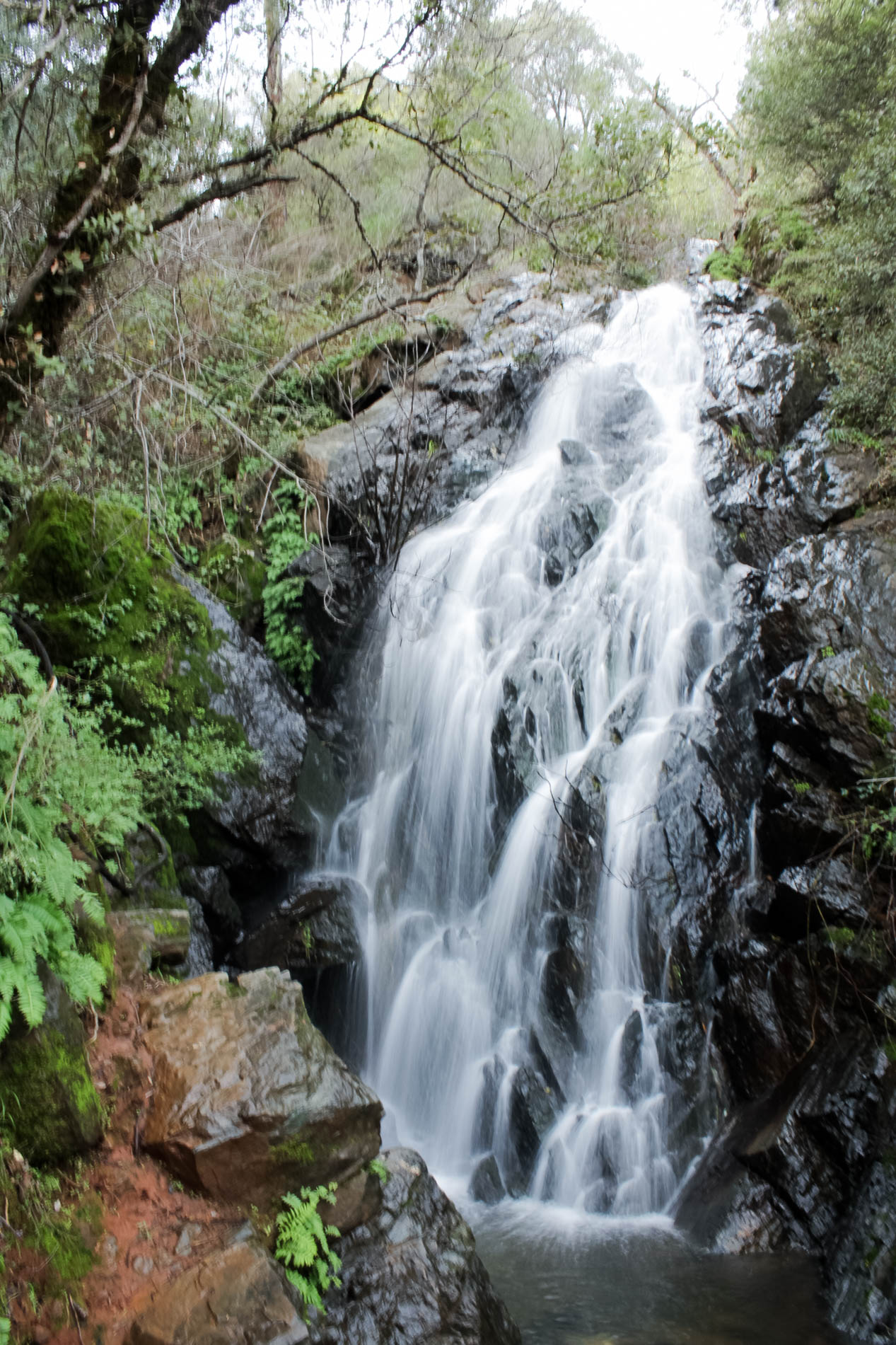  Sacramento area hikes: Auburn State Recreational Area Mountain Quarry Trail | tinted green 