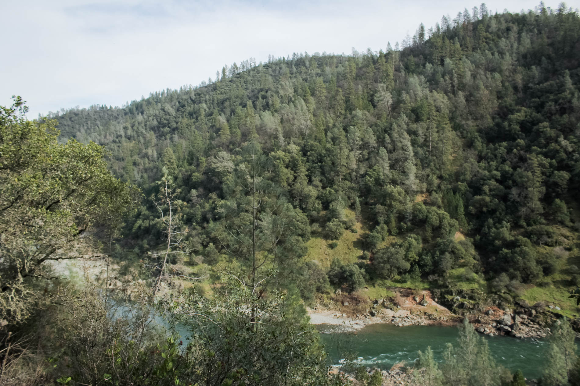 Sacramento area hikes: Auburn State Recreational Area Mountain Quarry Trail | tinted green