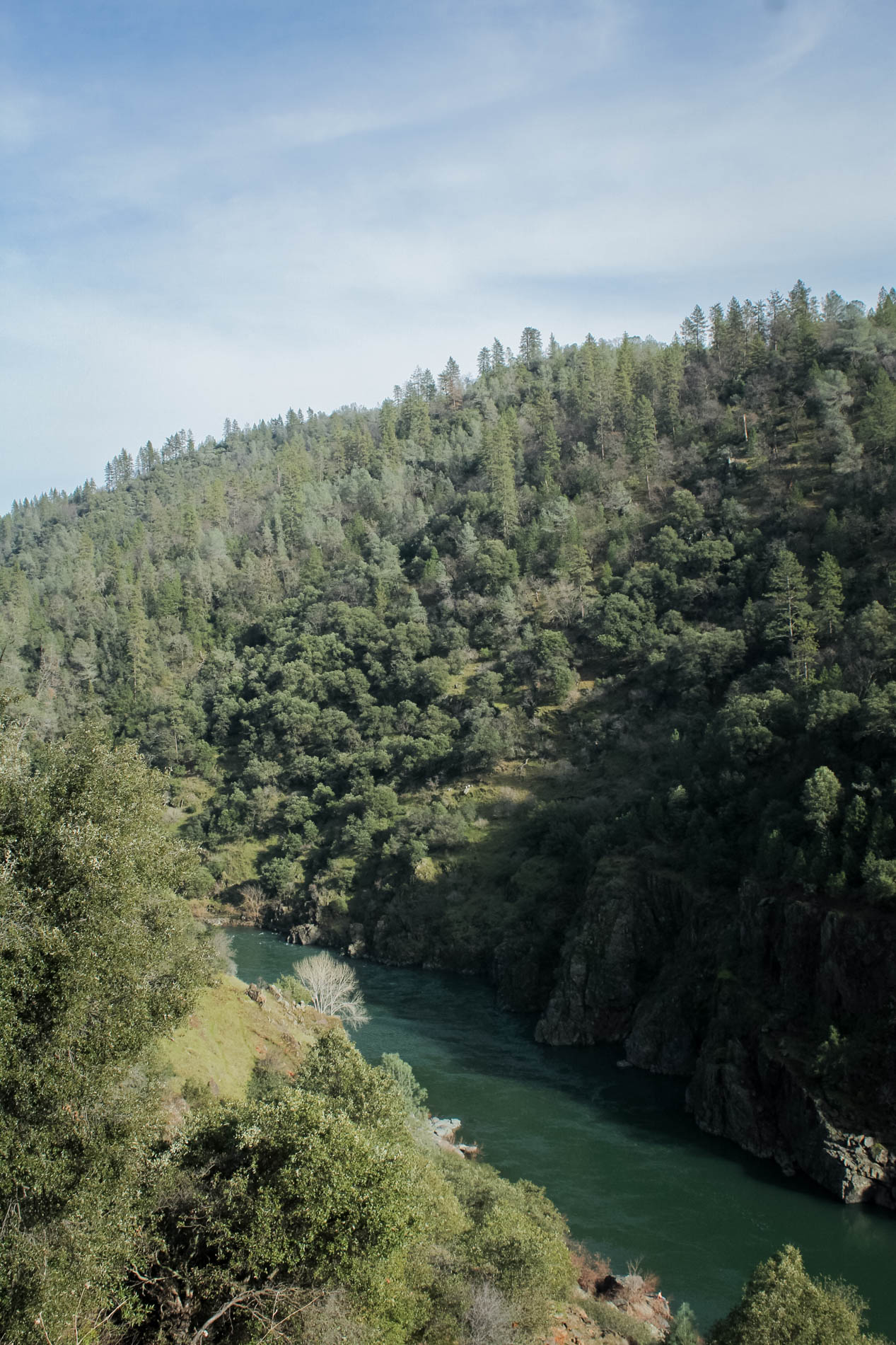 Sacramento area hikes: Auburn State Recreational Area Mountain Quarry Trail | tinted green