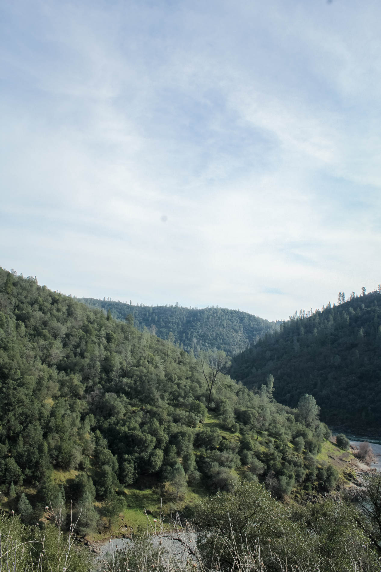 Sacramento area hikes: Auburn State Recreational Area Mountain Quarry Trail | tinted green