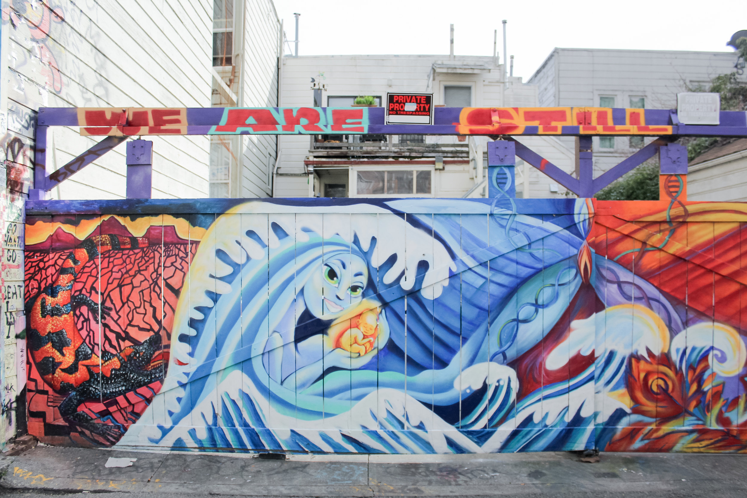 mural art in Clarion Alley in San Francisco's Mission District | tintedgreen