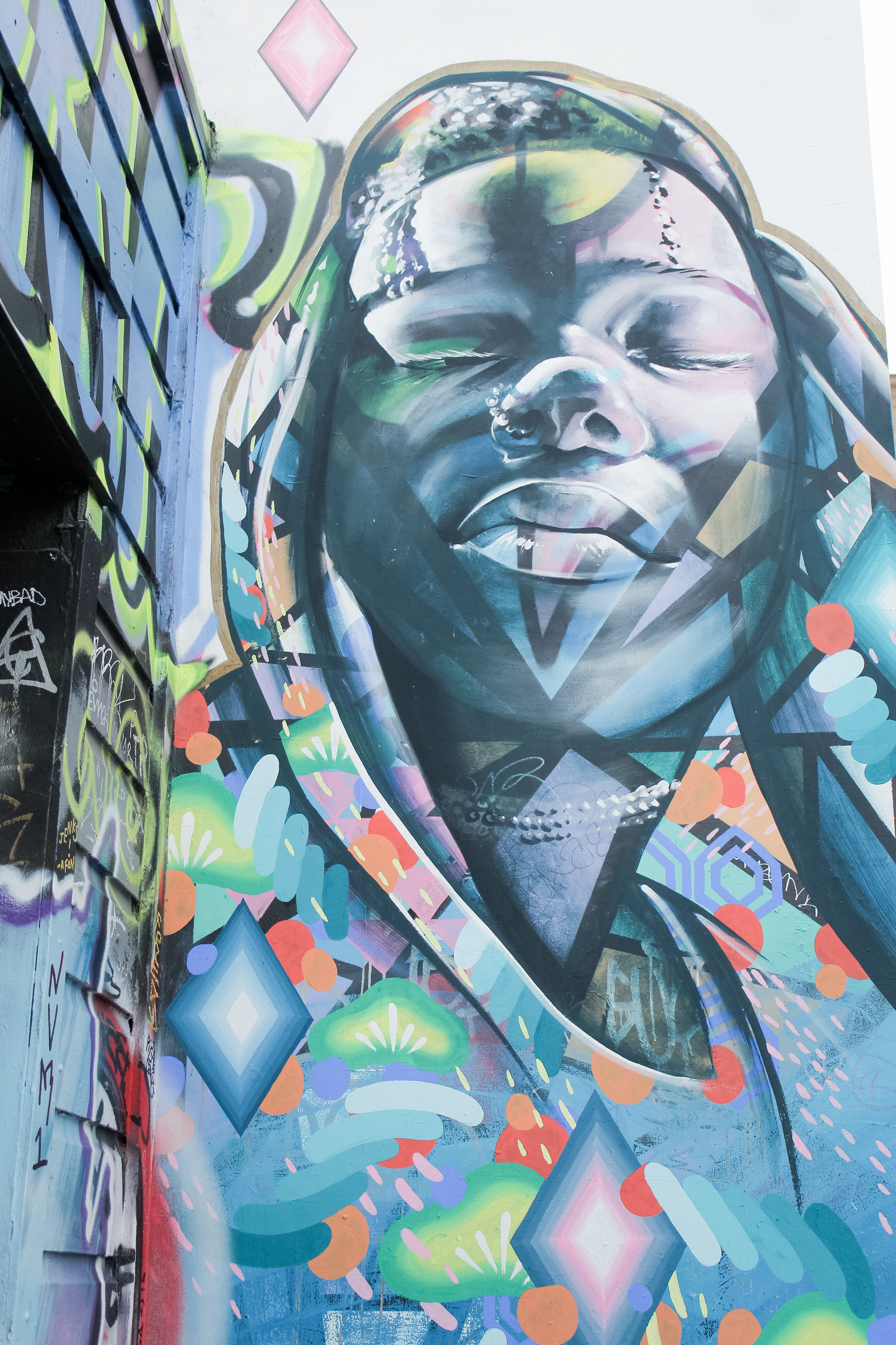  mural art in Clarion Alley in San Francisco's Mission District | tintedgreen 