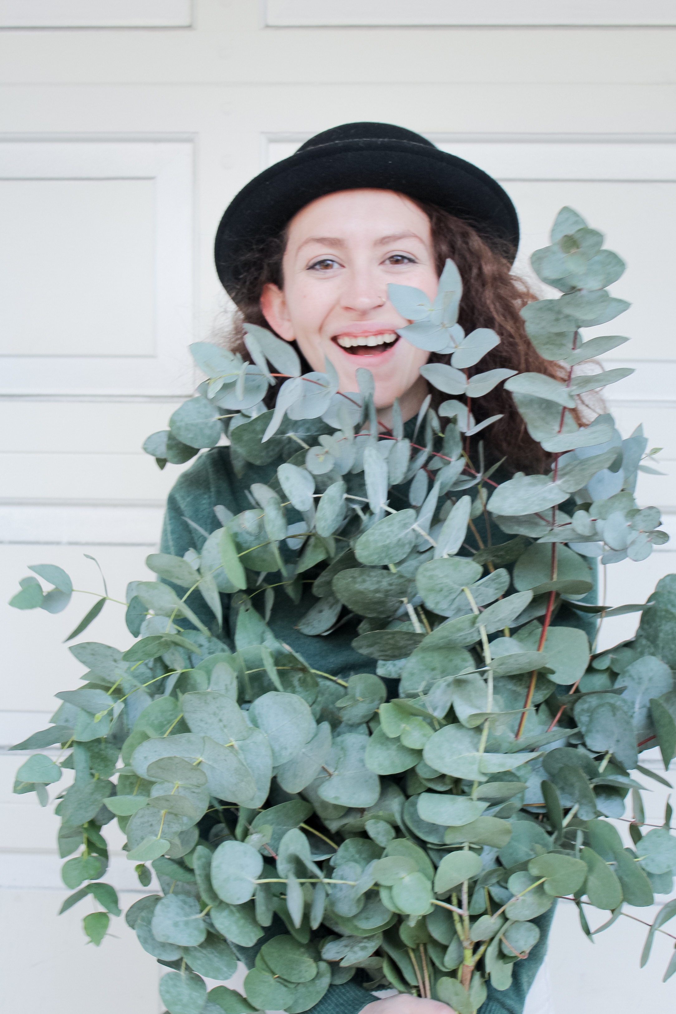 dollar eucalyptus bunch | tintedgreen