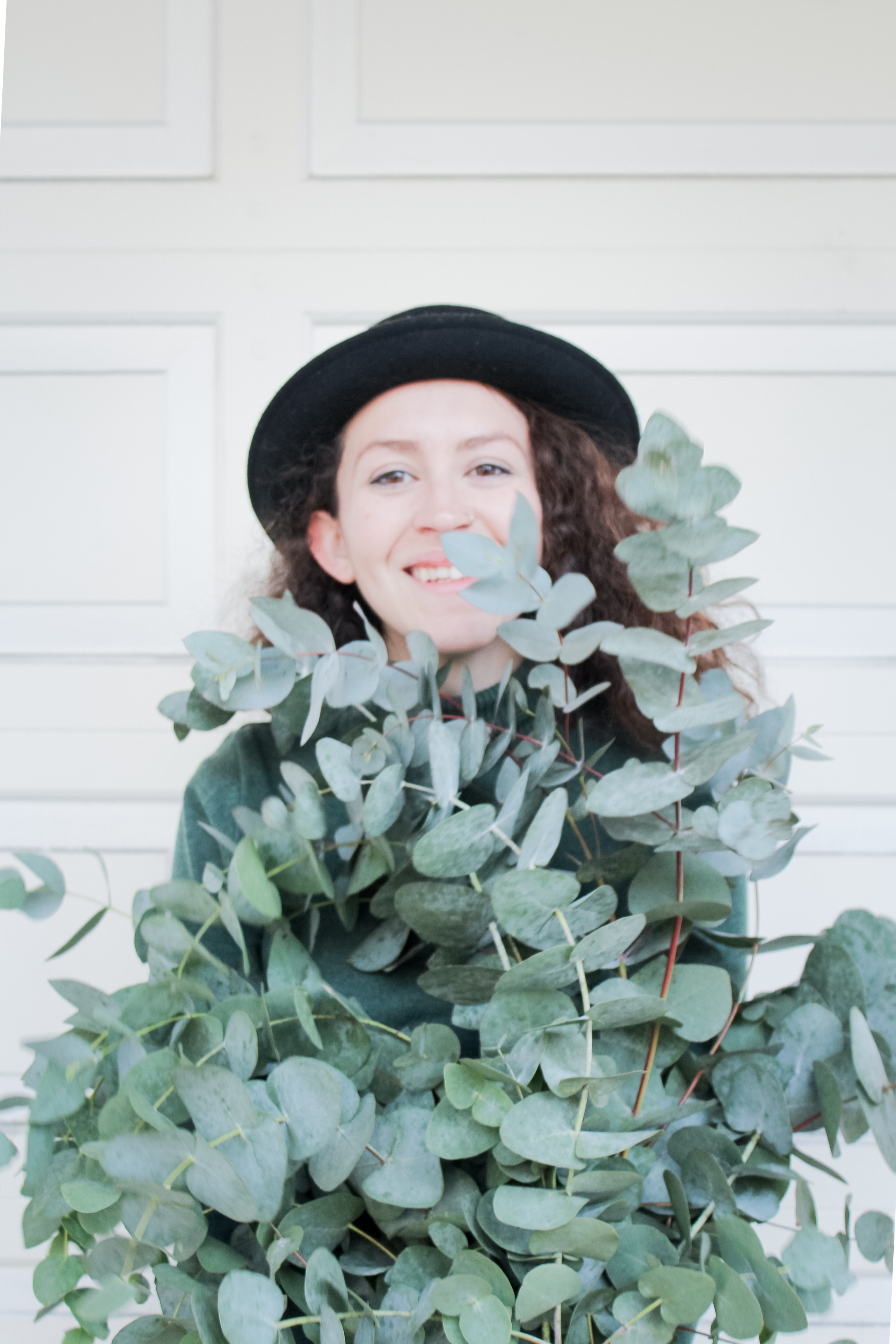 dollar eucalyptus bunch | tintedgreen
