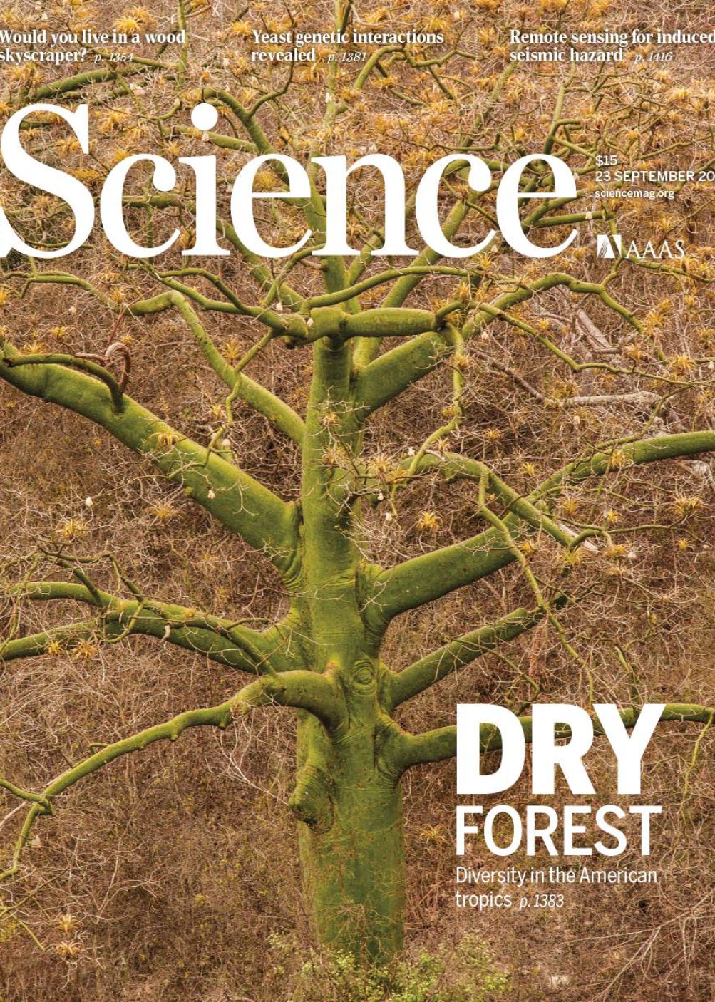 Tropical dry forests: DRYLFLOR's first paper on the cover of Science, 23rd Sept 2016