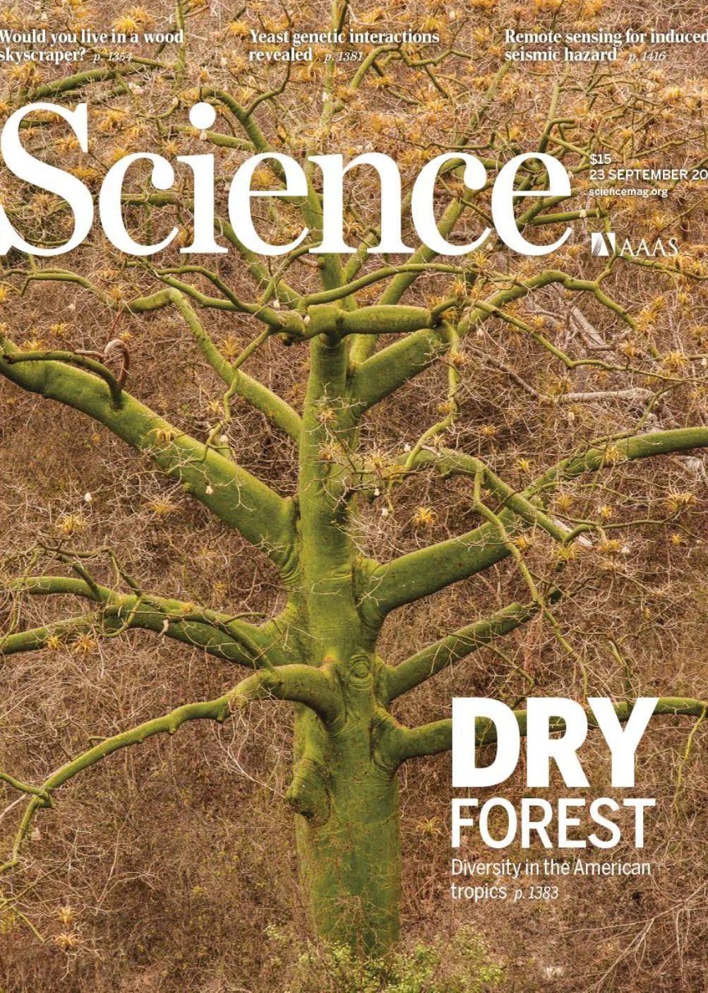 Tropical Dry Forest on the cover of Science, September 2016