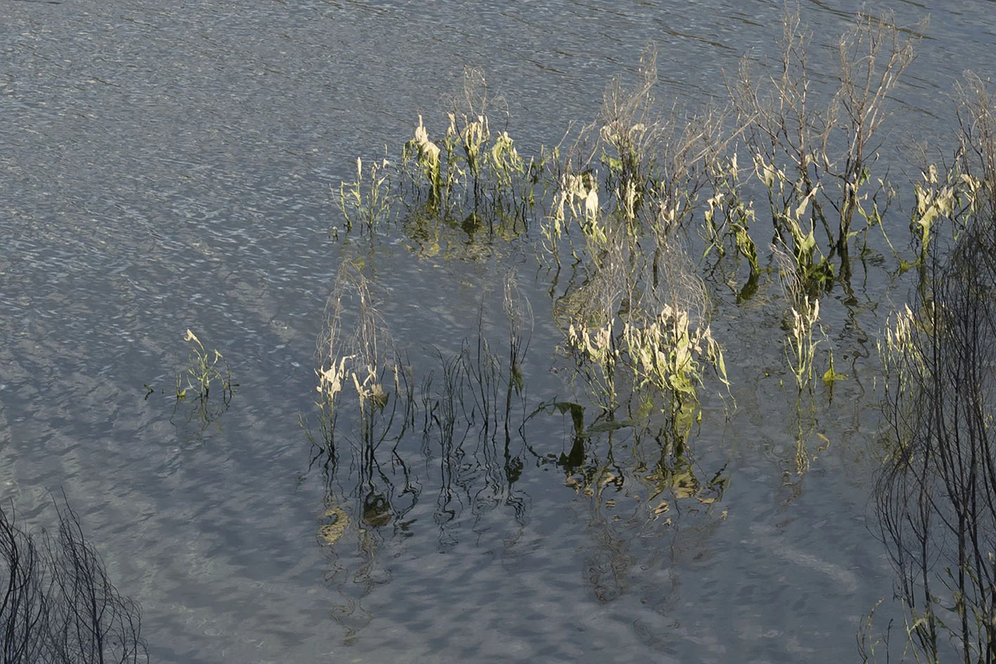 Pindari Dam No.4