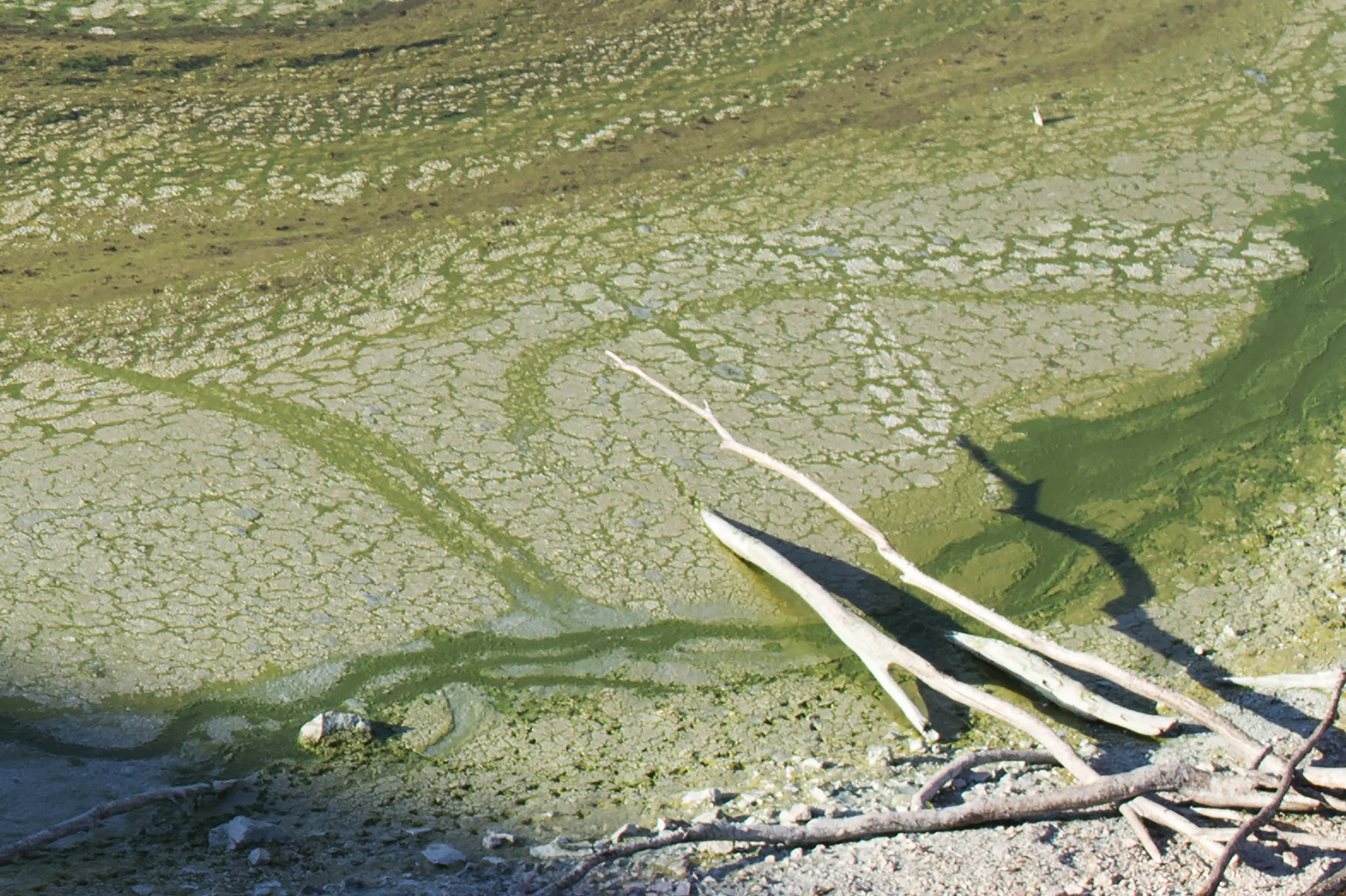 Traces and Shadows: Pindari Dam No.2