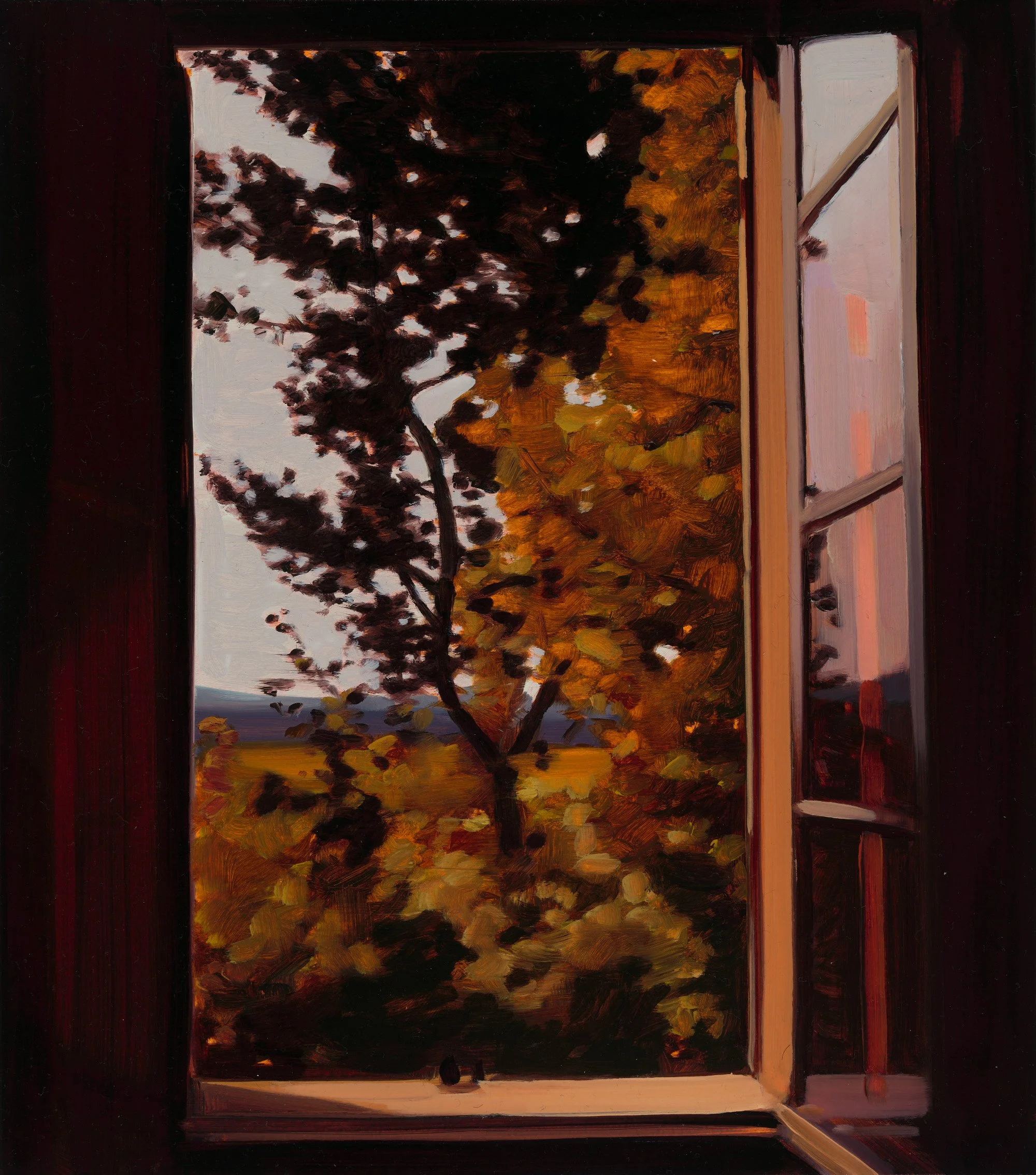 Cezanne's View