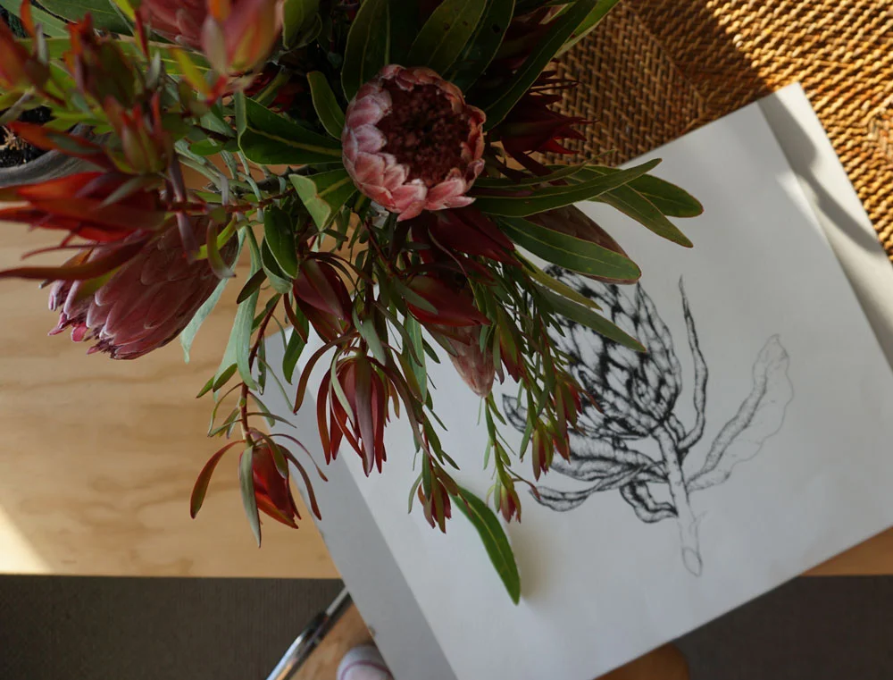 Protea Screen Print Illustration