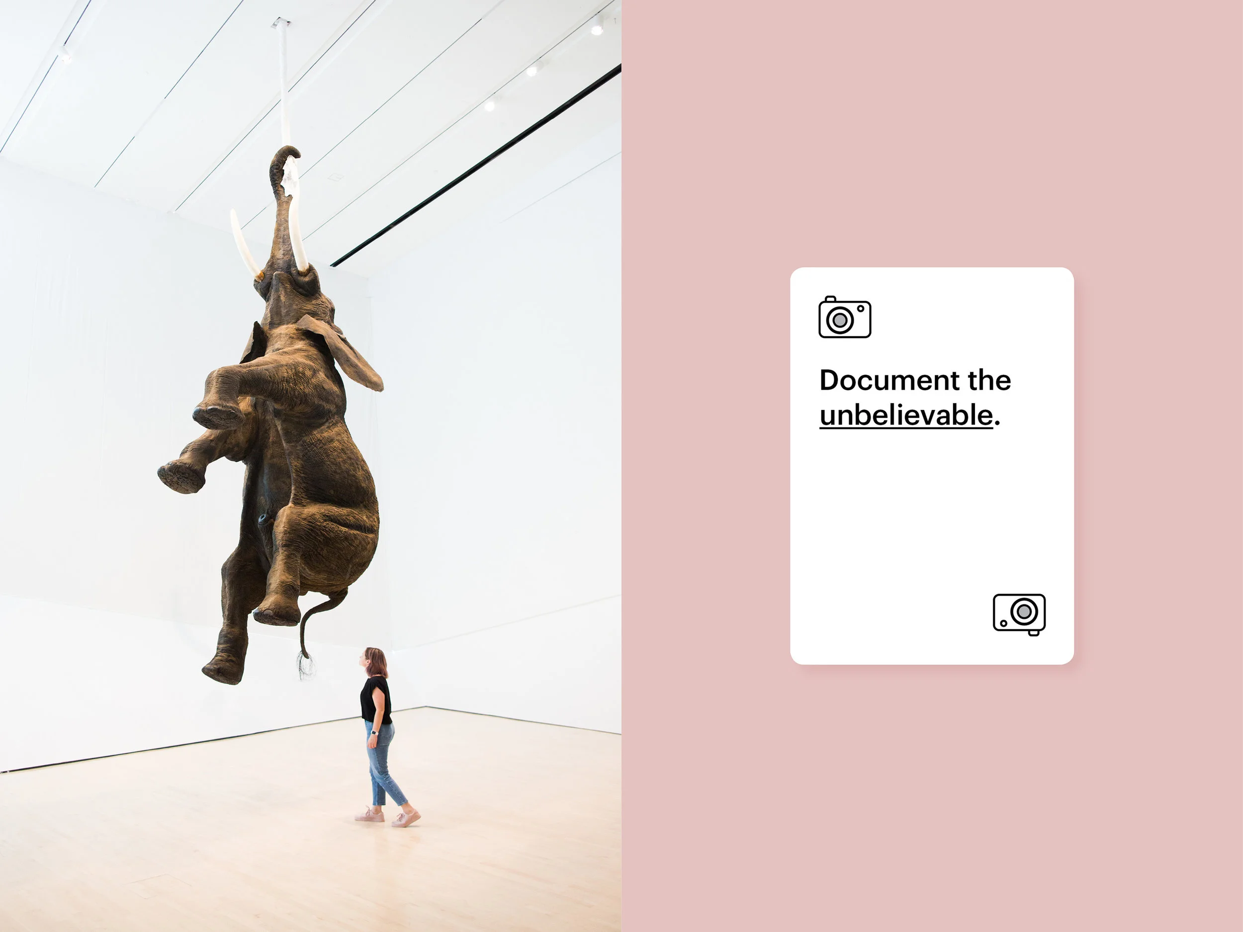 Website-Cards 3.jpg