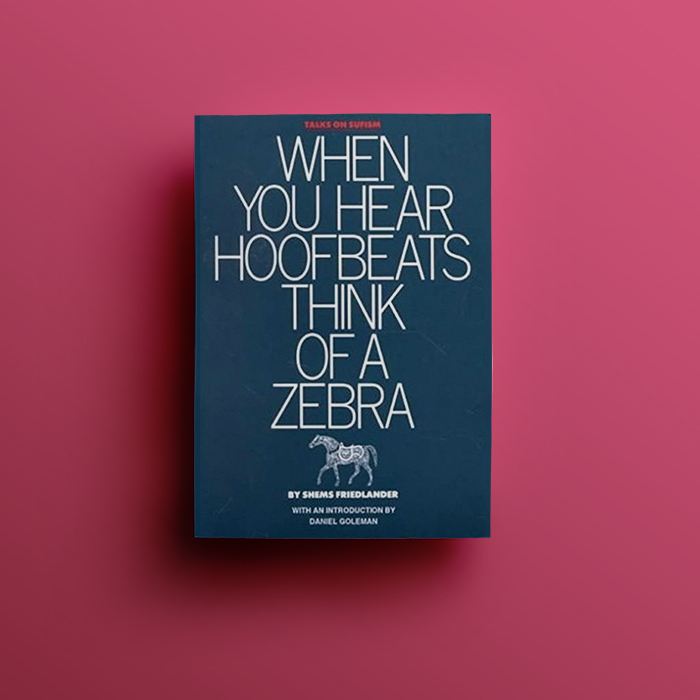 zebra.jpg