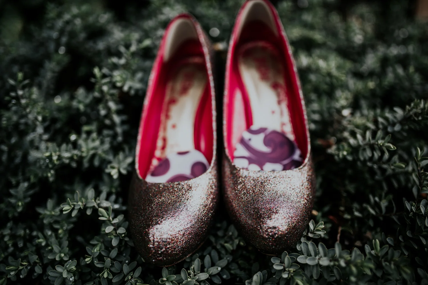 suzyandanquinwedding-092317 (11 of 1290).jpg