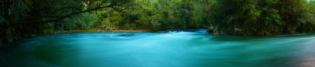 Bottom 1Panorama.jpg