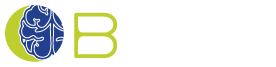 BSMT - Brain Stimulation & Monitoring Toolbox Consortium Conference