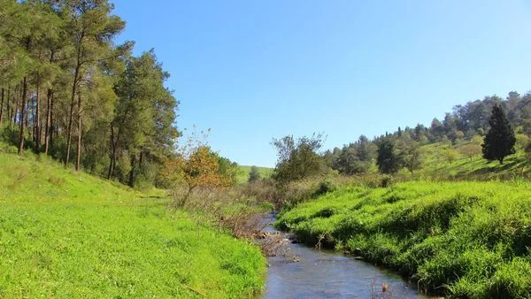 Ramot Menashe Techies Meetup 3