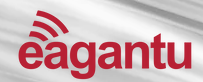 Eagantu Micro Solutions