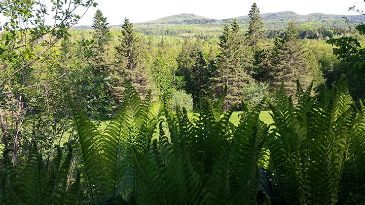 20150523_170422.jpg