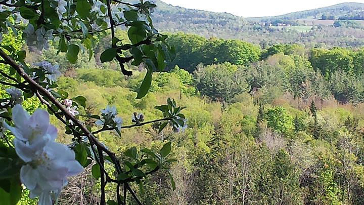 20150523_165525.jpg