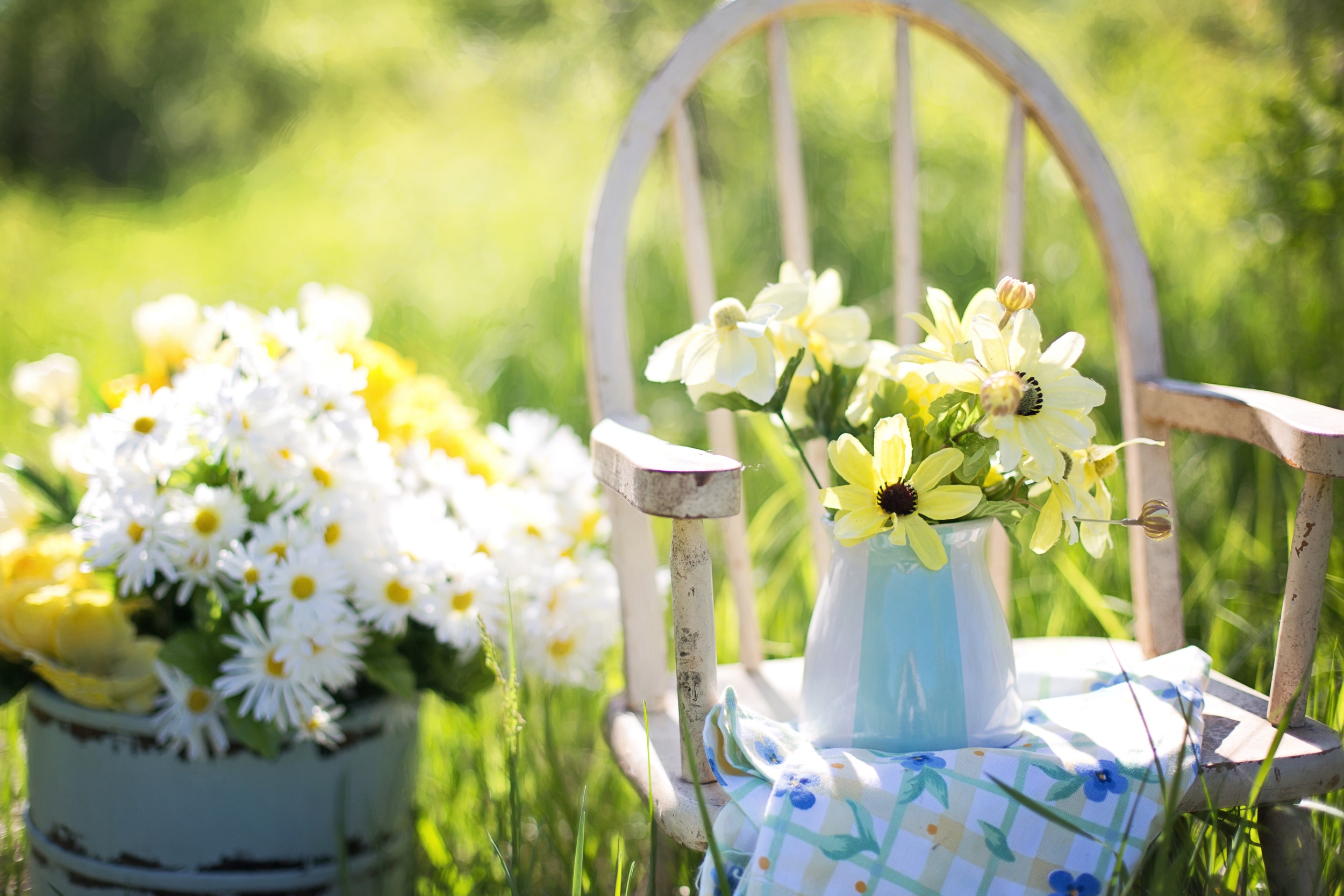 summer-779385.jpg