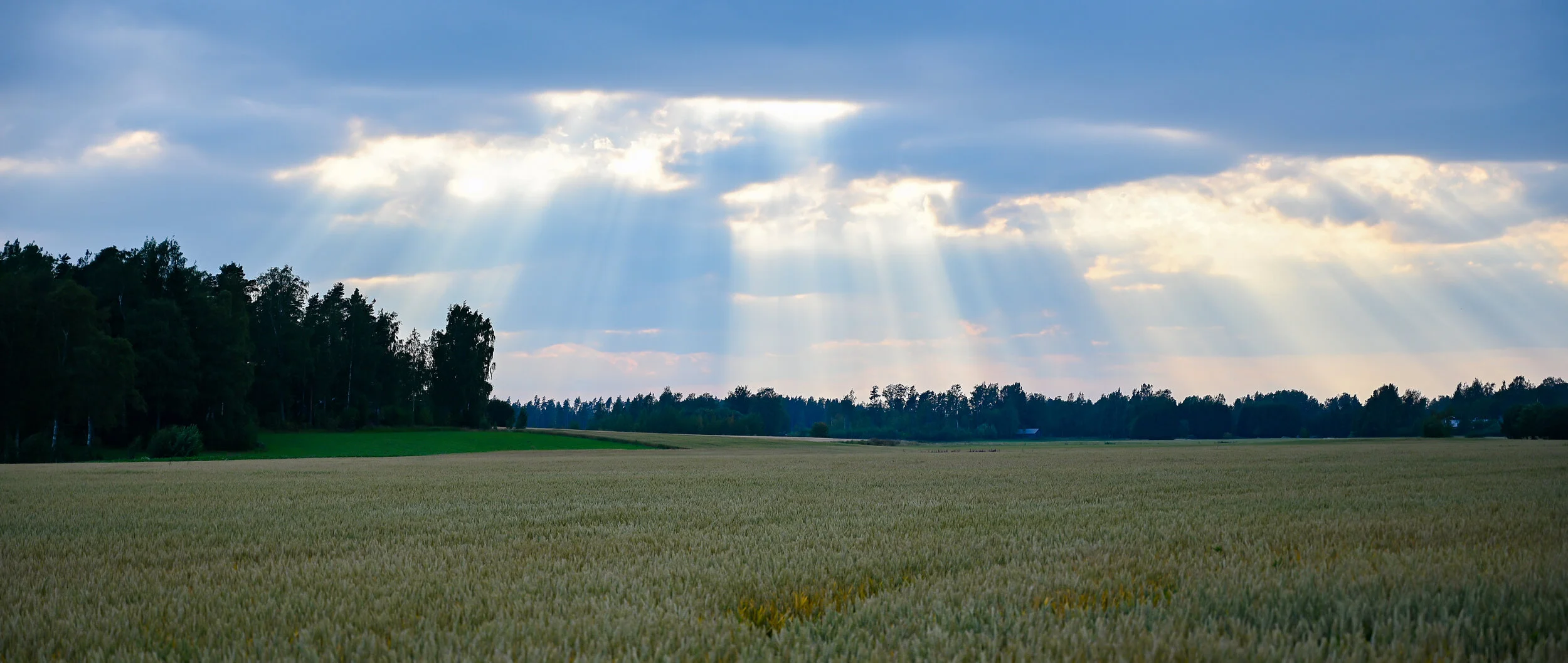 BSS/BNK/Kipparit meteorologikväll