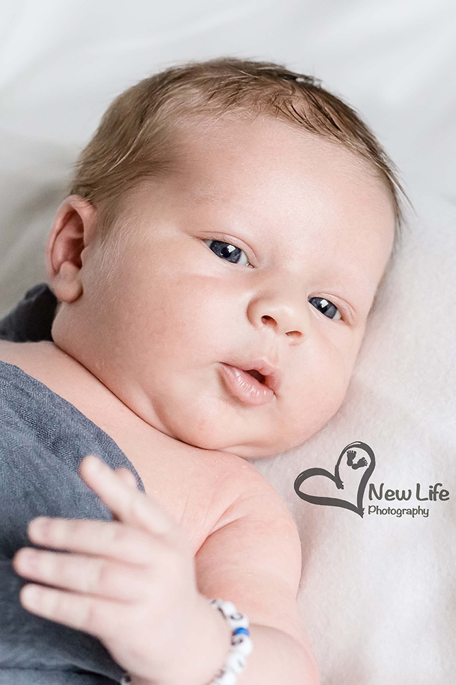 New Life Photography