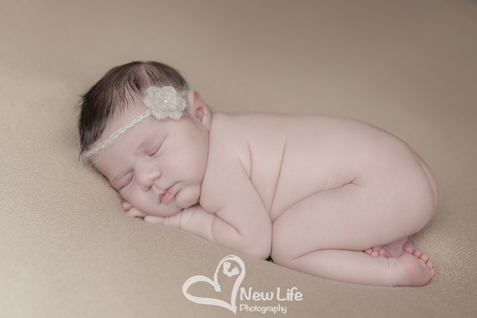 New Life Photography Bienne