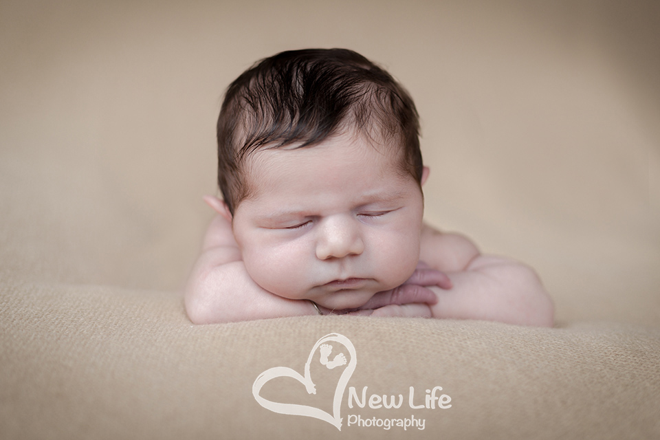 New Life Photography Bienne