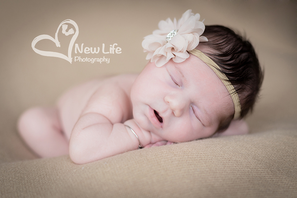 New Life Photography Bienne