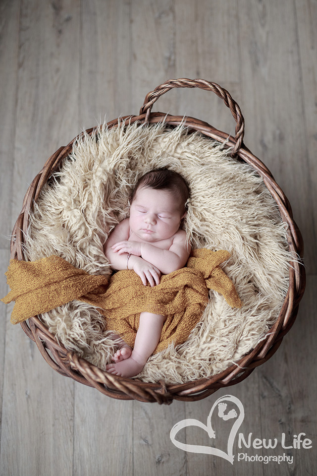 New Life Photography Bienne