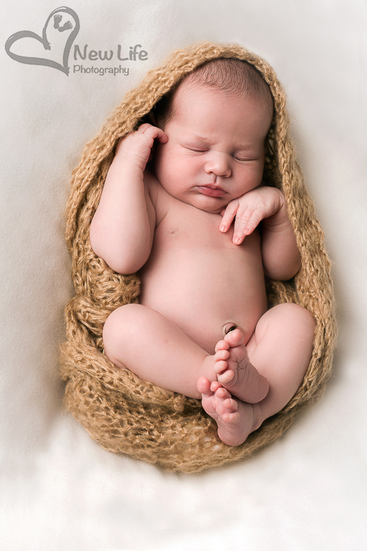 New Life Photography Bienne