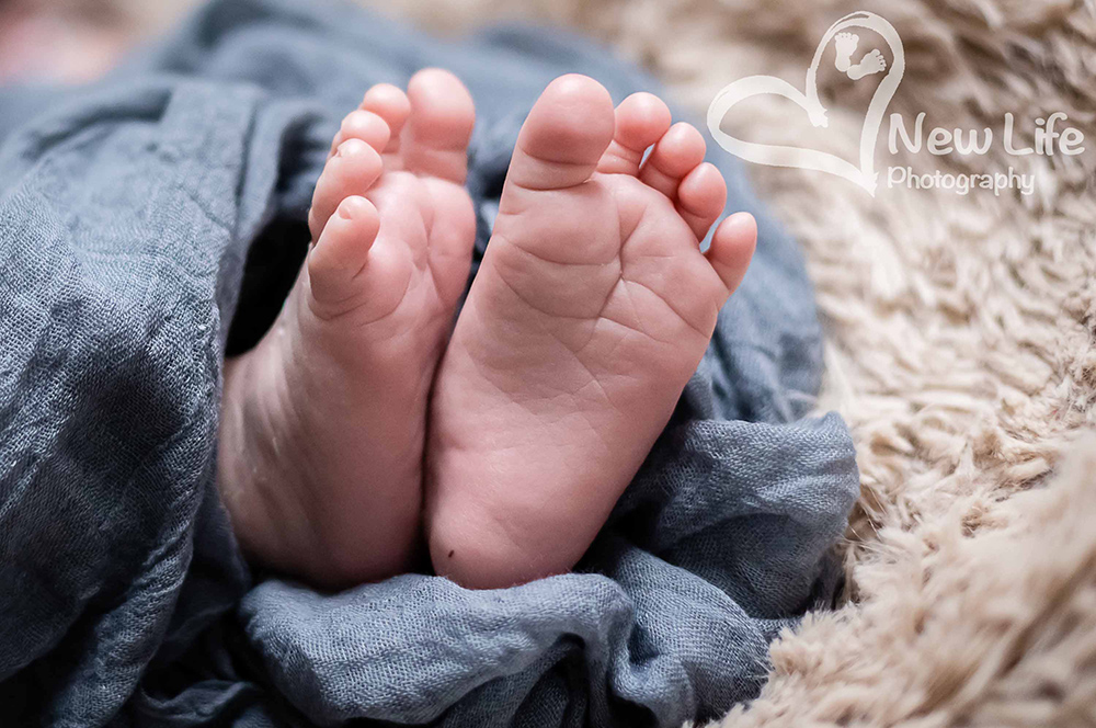 New Life Photography