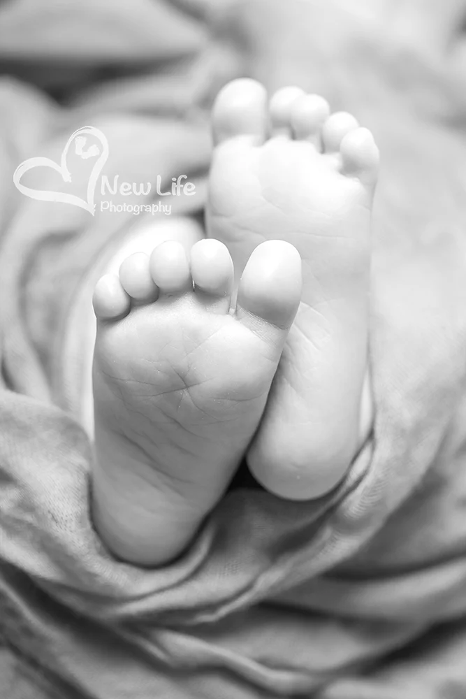 New Life Photography Bienne
