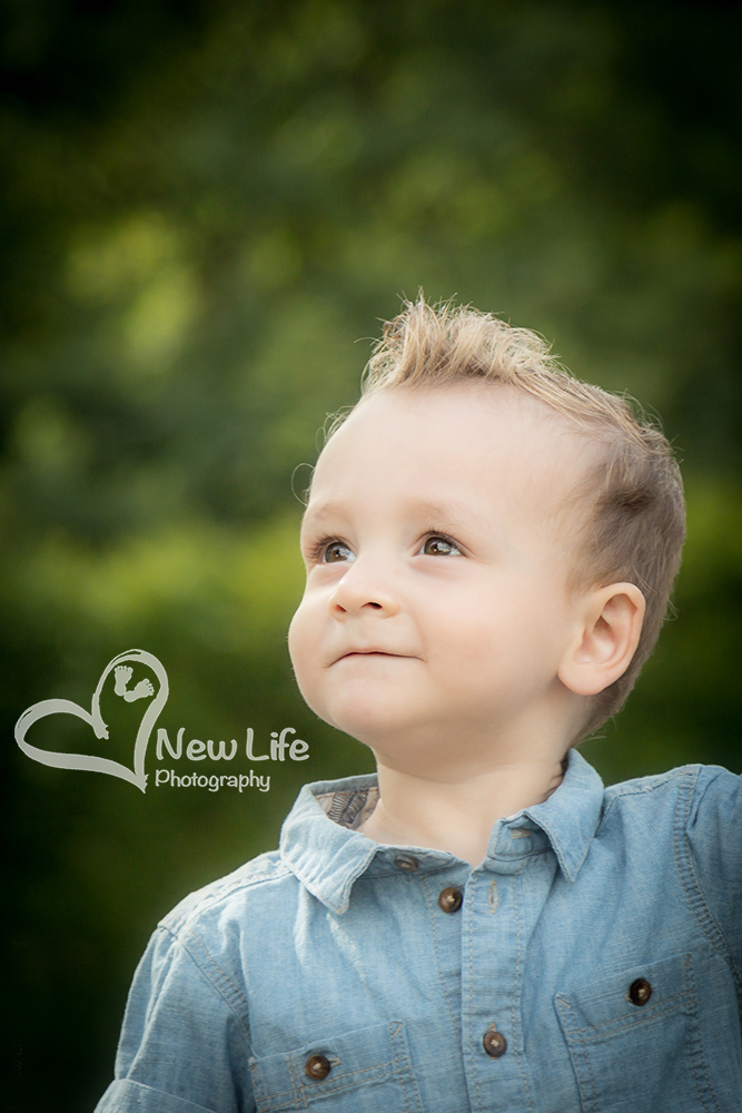 New Life Photography Bienne