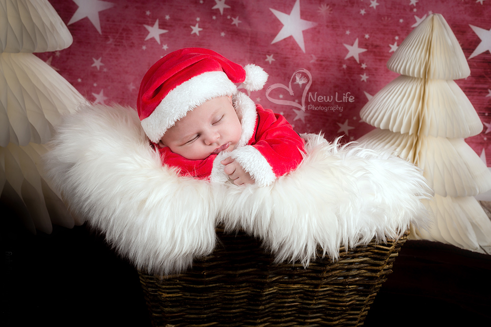 New Life Photography - photoshoting noel - weinhnacht - xmas - p