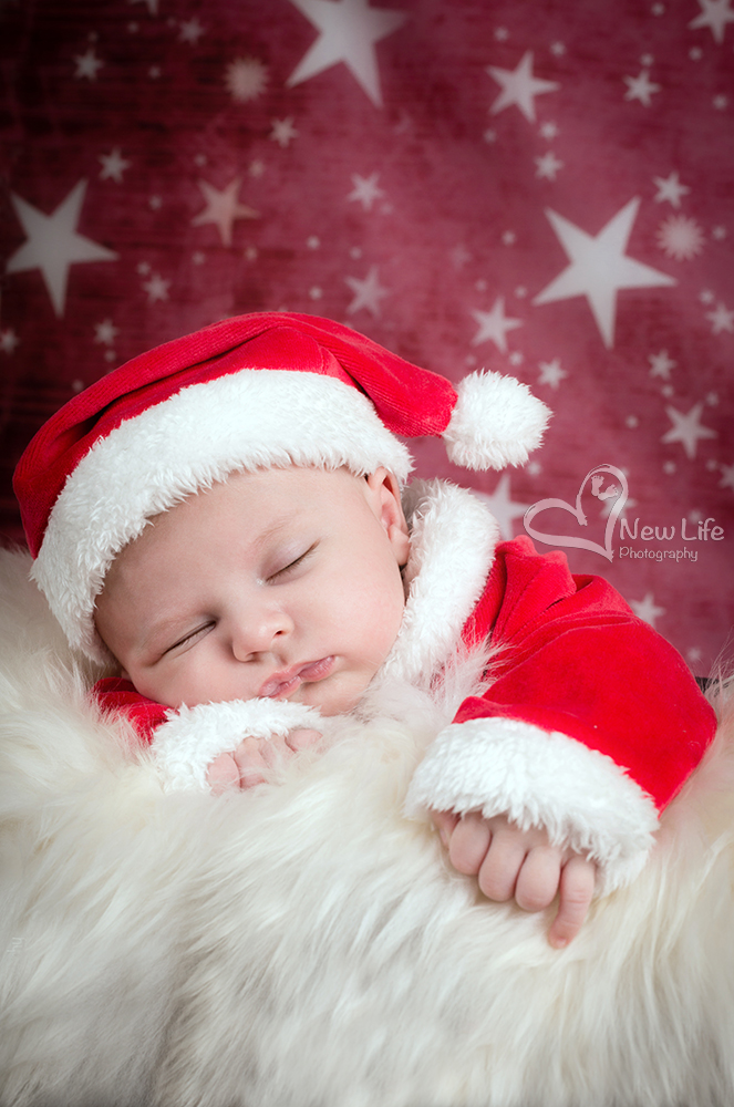 New Life Photography - photoshoting noel - weinhnacht - xmas - p