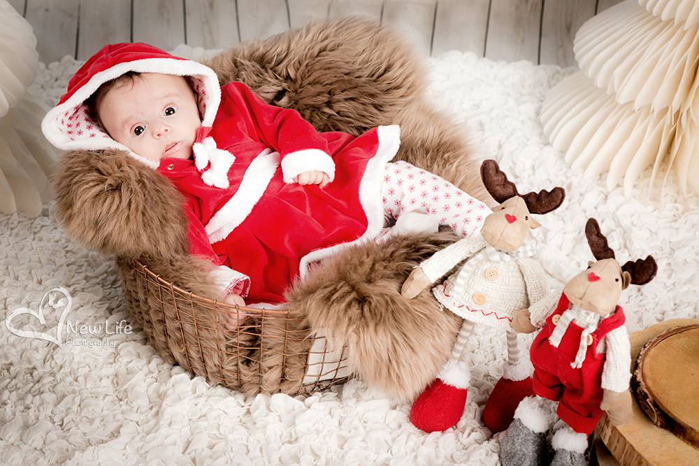 New Life Photography - photoshoting noel - weinhnacht - xmas