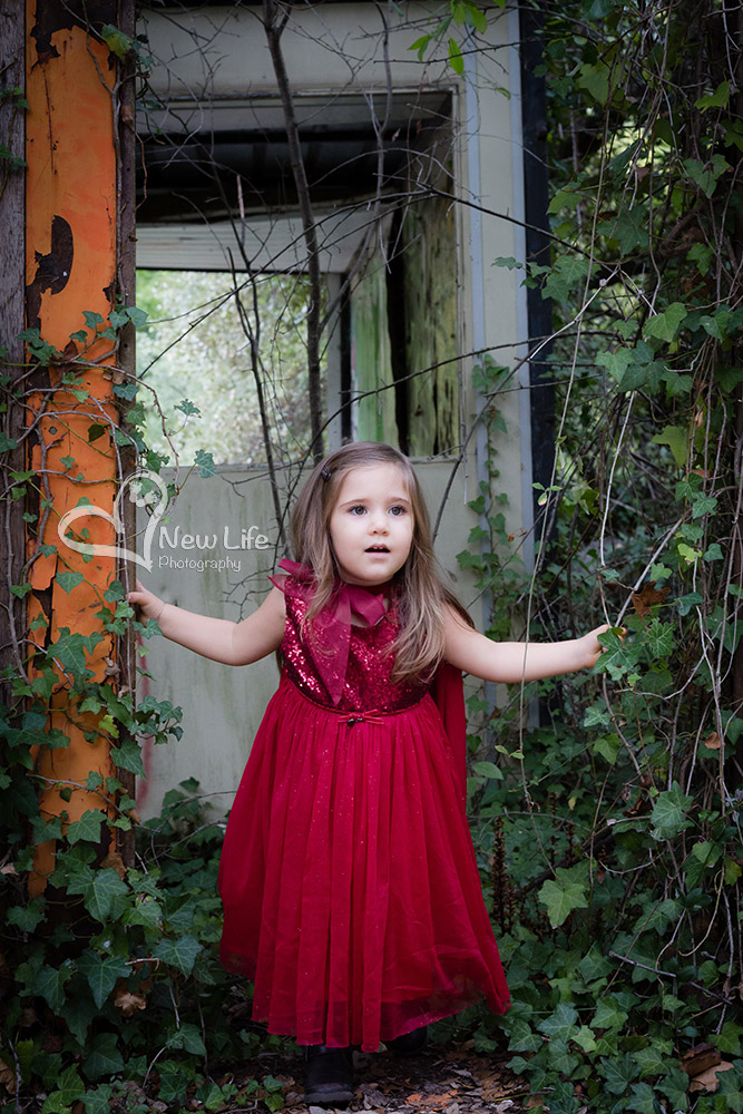 New Life Photography Bienne