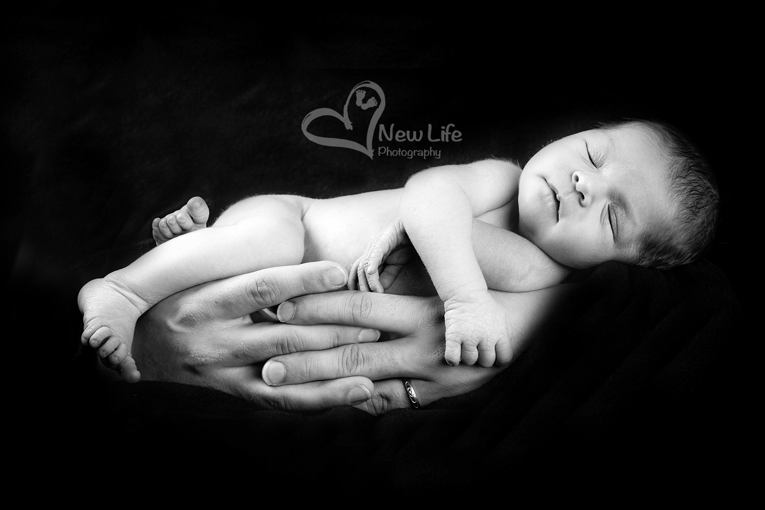 New Life Photography Bienne