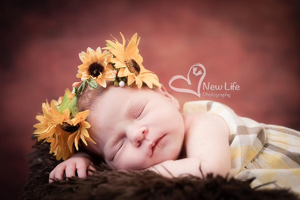 New Life Photography Bienne