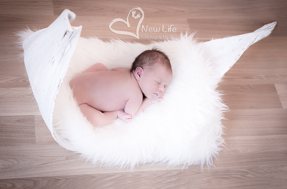 New Life Photography Bienne