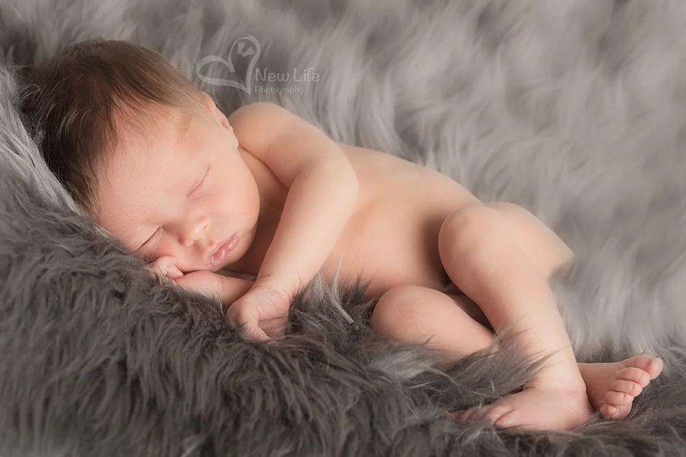 New Life Photography Bienne