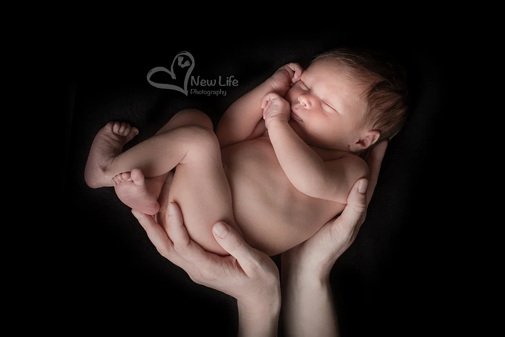 New Life Photography Bienne