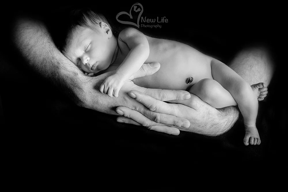 New Life Photography Bienne