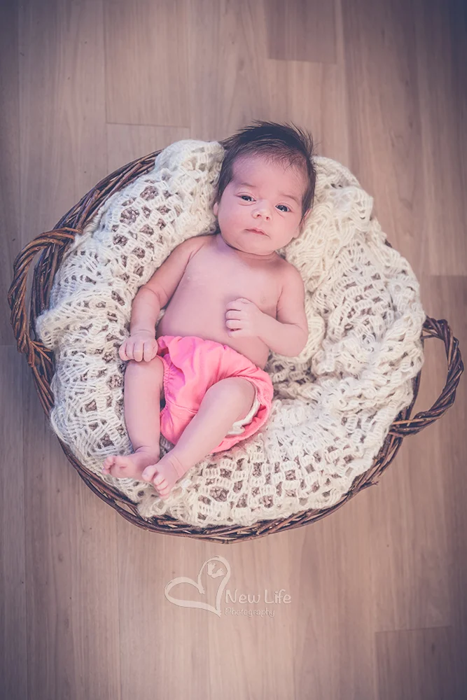 New Life Photography by Nathalie Renfer - Photographe spéciali