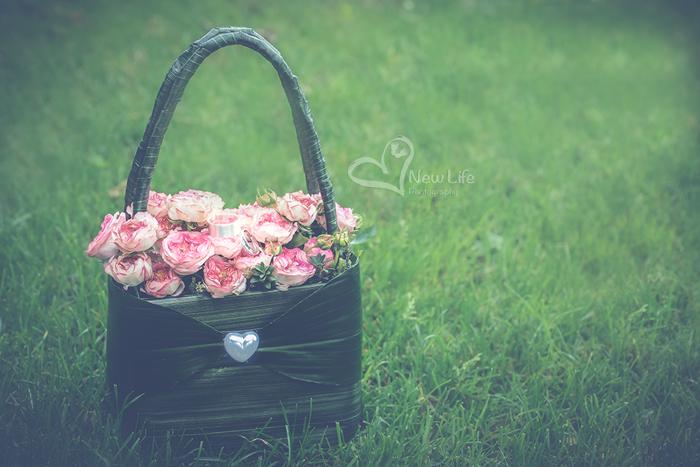 New Life Photography by Nathalie Renfer - Photographe spéciali