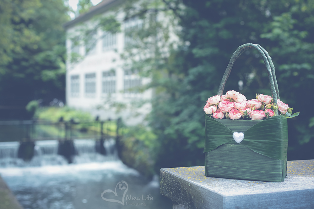 New Life Photography by Nathalie Renfer - Photographe spéciali